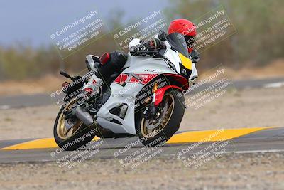 media/Sep-10-2022-SoCal Trackdays (Sat) [[a5bf35bb4a]]/Turn 6 (1140am)/